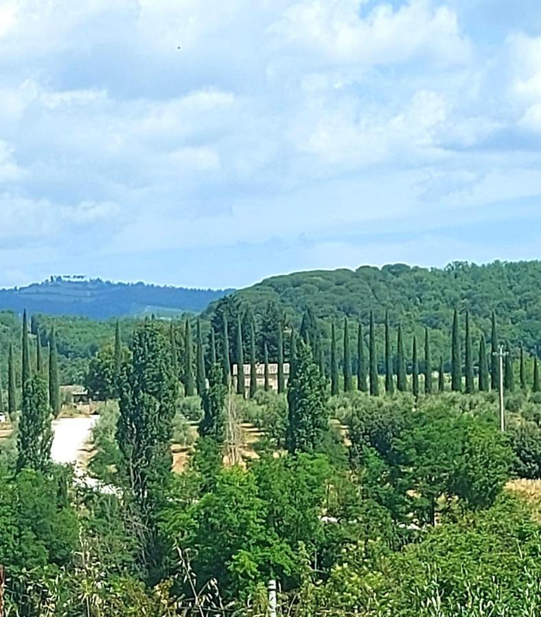 La Casa Di Elvira2 Holiday home Castelnuovo Berardenga